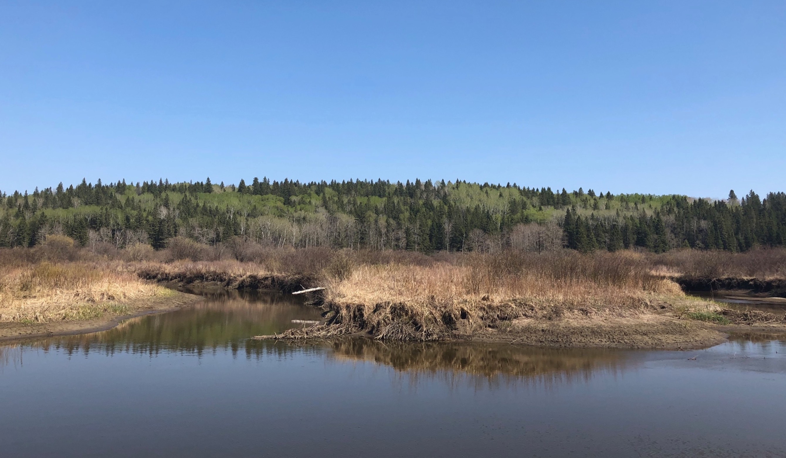 Photo of Hawthorn Outfitting in Duck Mountain, MB