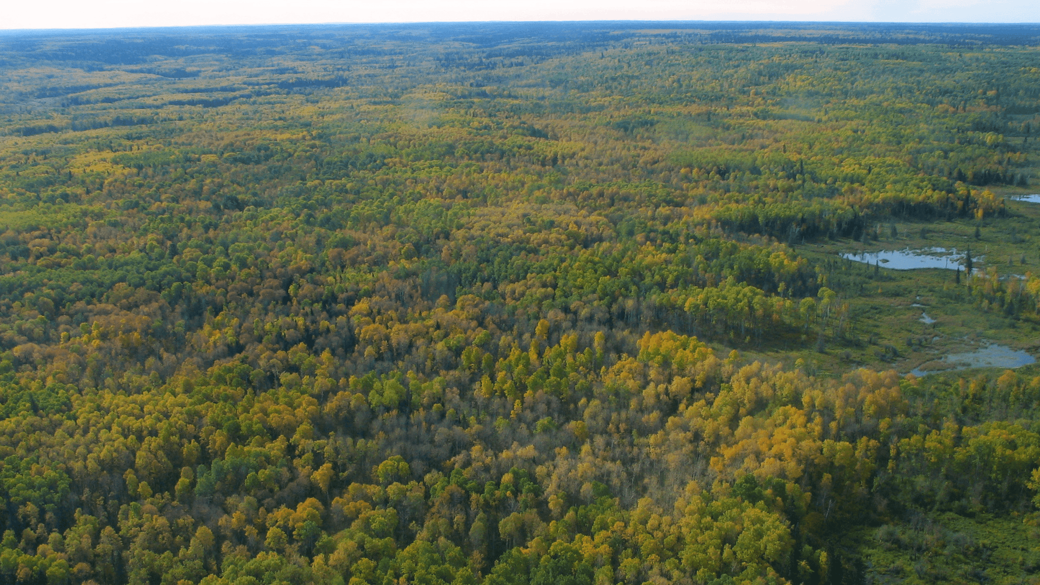 Photo of Parkline Outfitters in Duck Mountain, MB