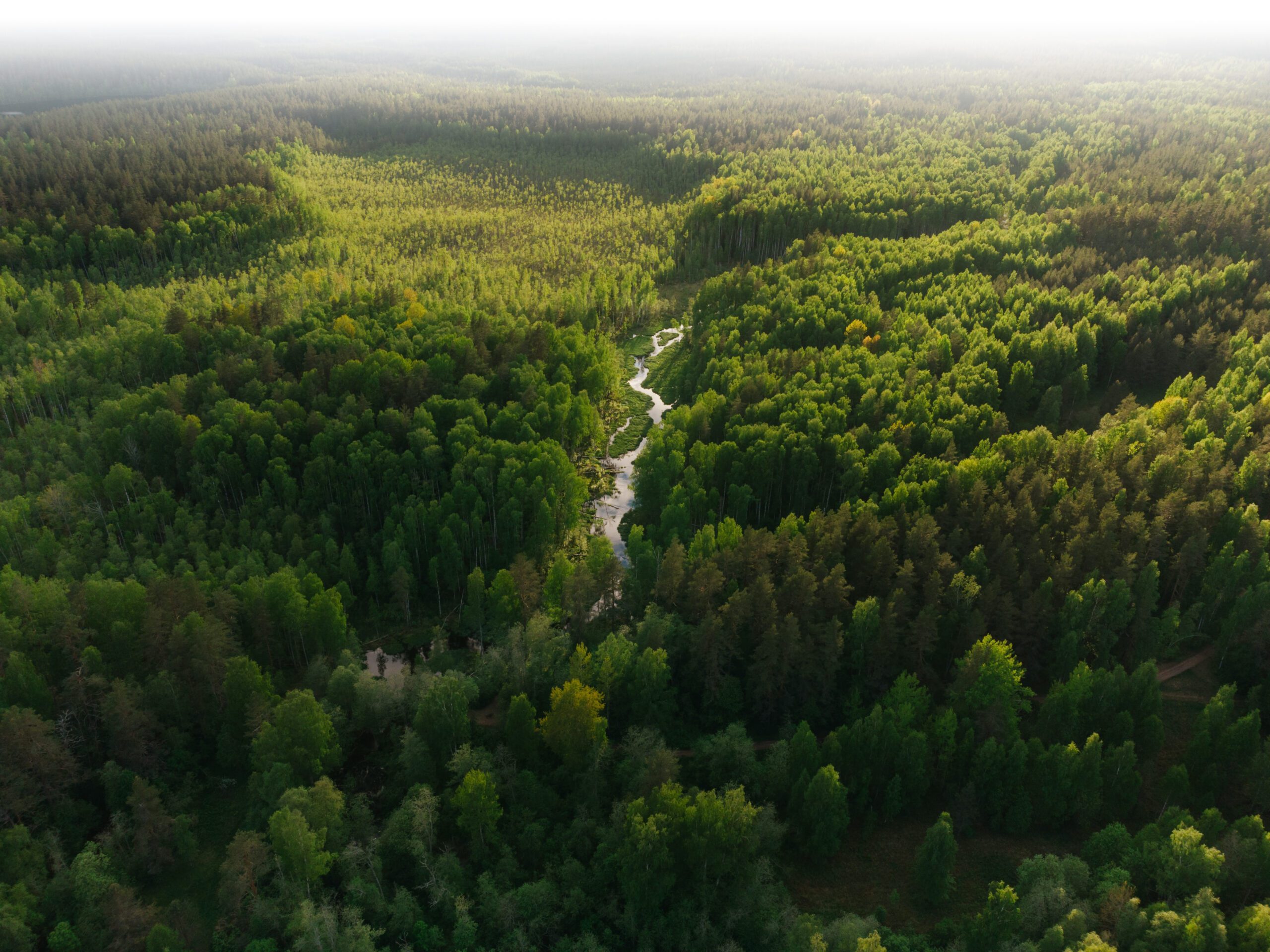 Photo of Sandy River Outfitters in Winnipeg Capital Region, MB