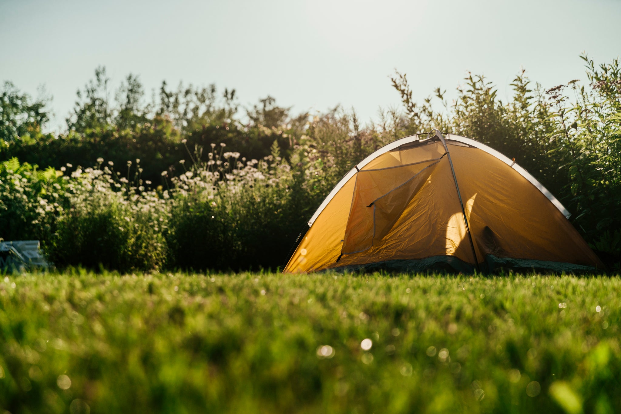 Photo de Alpine Country Outfitters dans la Région de la capitale de Winnipeg, Mb