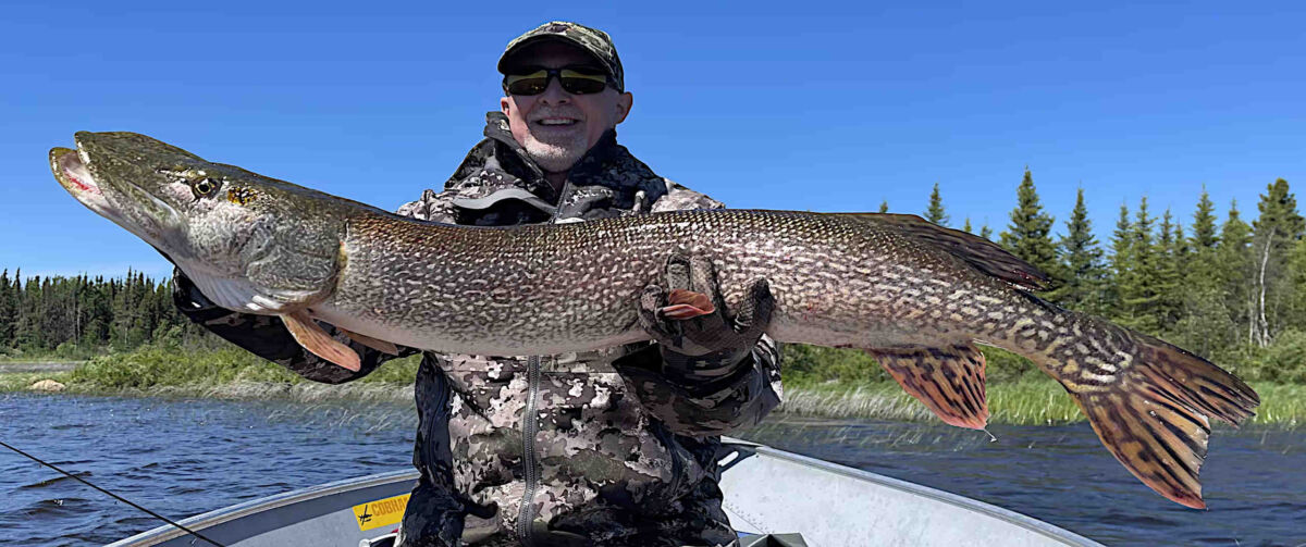 Cabin Hidden Lake Outpost — Cobham River Lodge – Cobham River Lodge