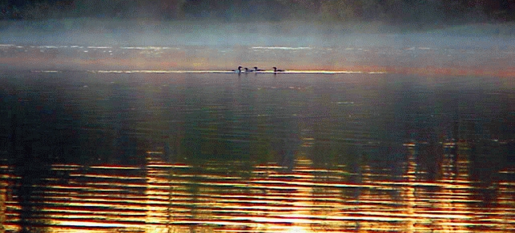 Auberge Healey's God's Lake Narrows — Gods Lake Haven – Gods Lake Haven