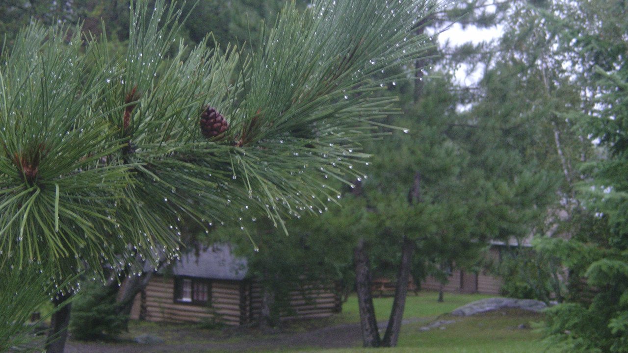 Cabins – Cabins