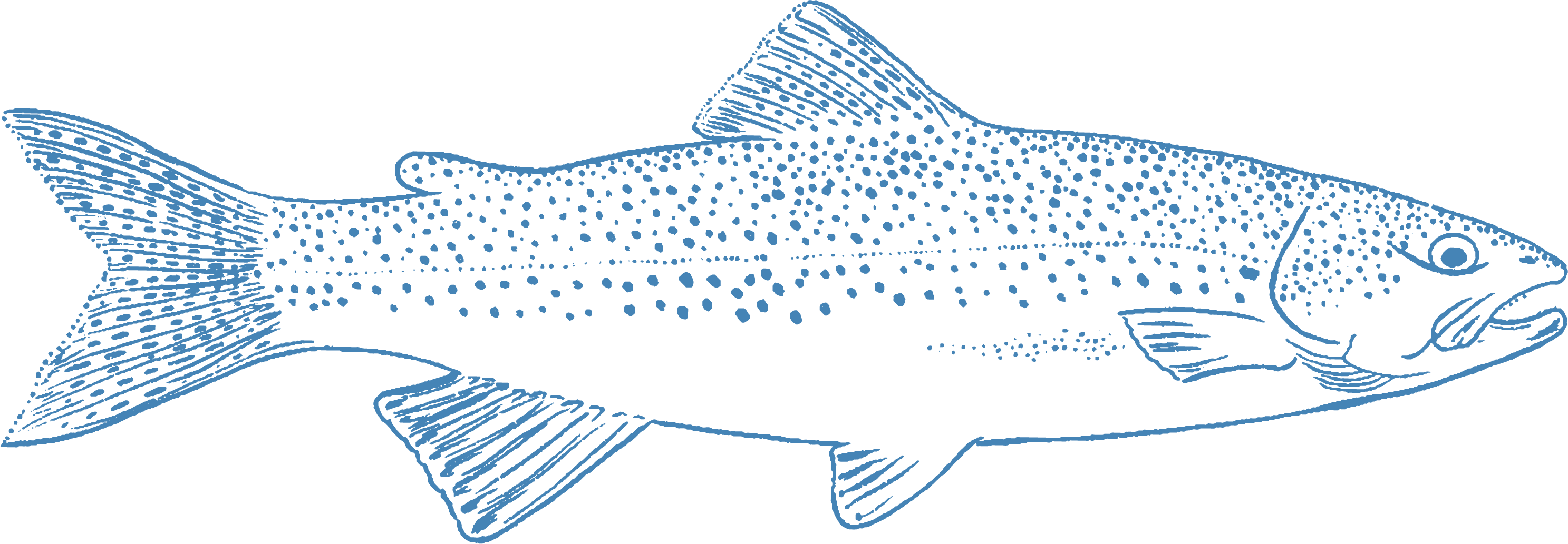 Chalet Trout – Chalet Trout