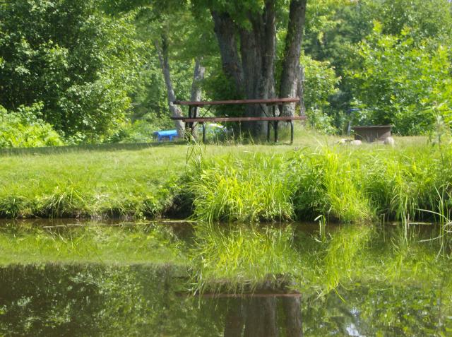 Emplacements de camping — Talon Lake Campground & Marina – Talon Lake Campground & Marina