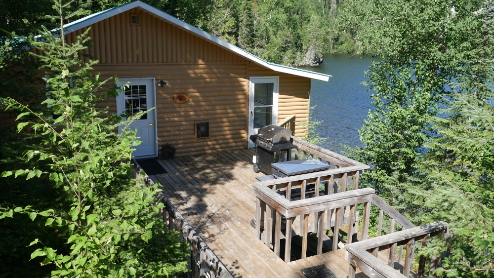 The Beaver Dam – The Beaver Dam