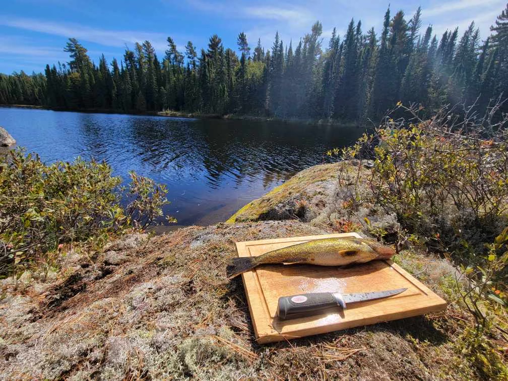 Photo of Air-Dale Fishing & Hunting in Algoma Country, ON