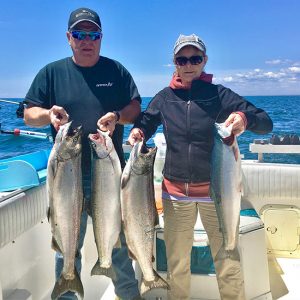 Comfort Inn – Blue Shark Charters