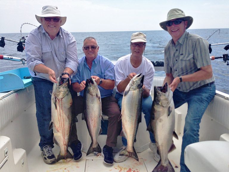 Comfort Inn – Blue Shark Charters