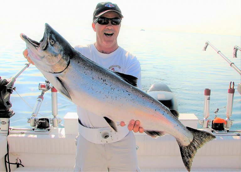 Comfort Inn – Blue Shark Charters