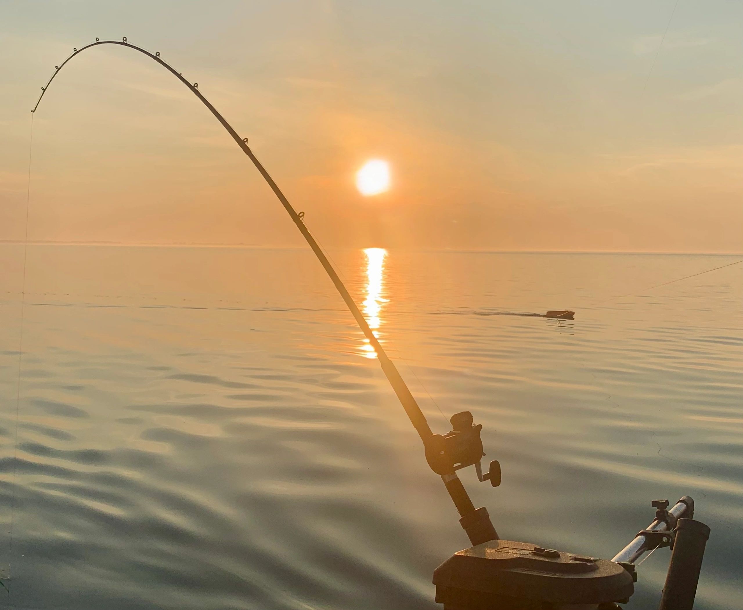 Photo de Dark30 Sportfishing en Ontario