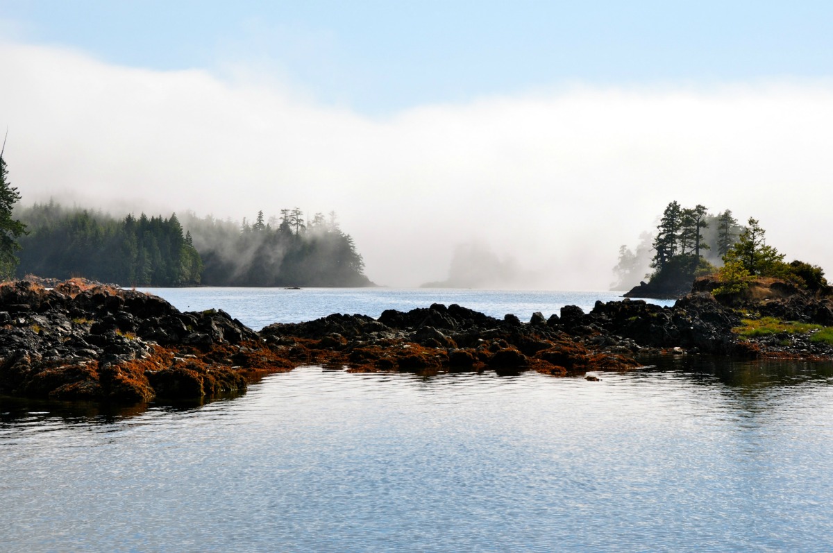Photo of Slam Bang Fishing Lodge in Vancouver Island, BC