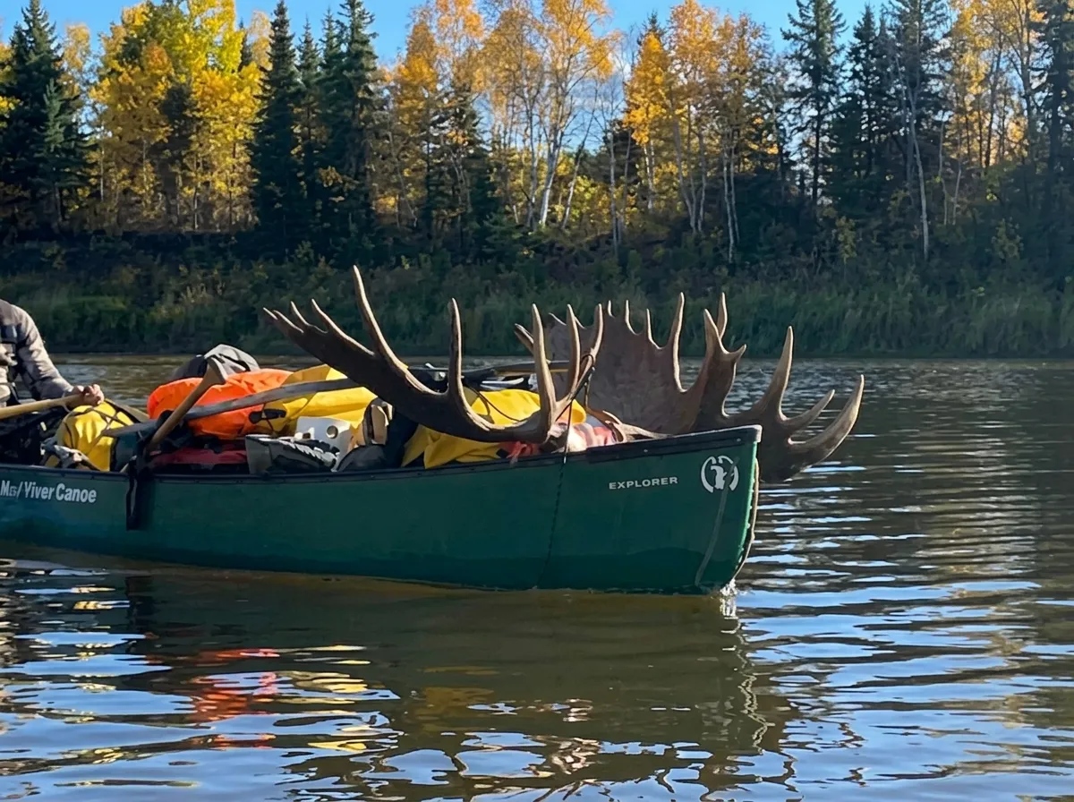 Photo de Gunson Guiding & Outfitting dans les Rocheuses du Nord, Bc