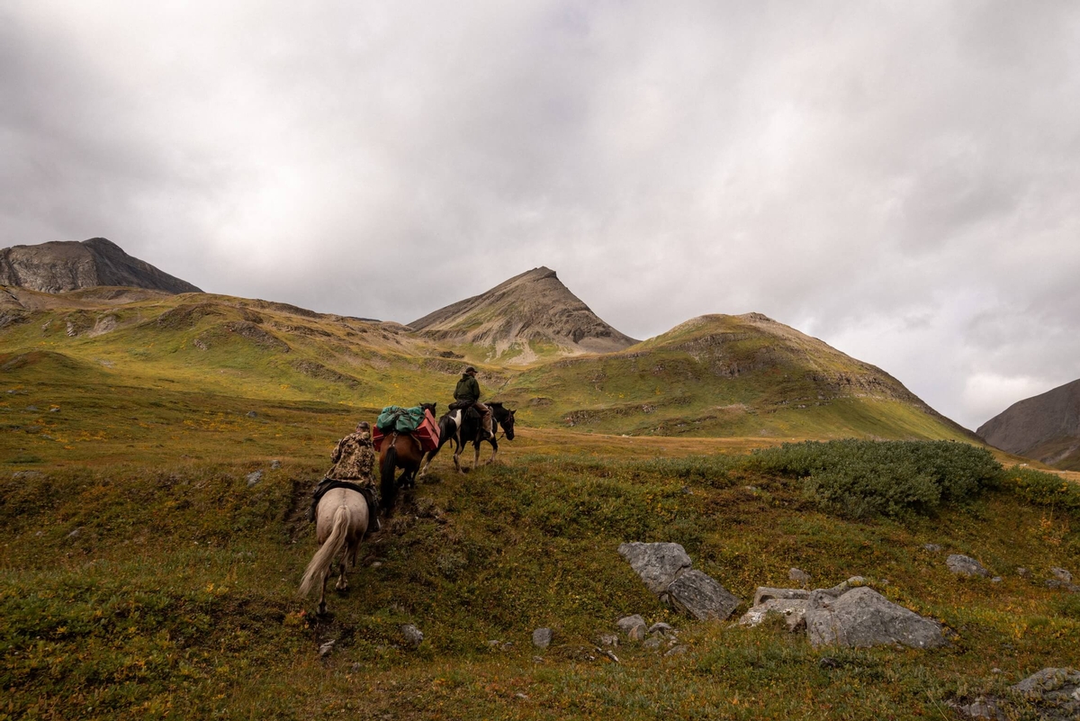 Photo of Tuchodi River Outfitters in Northern Rockies, BC