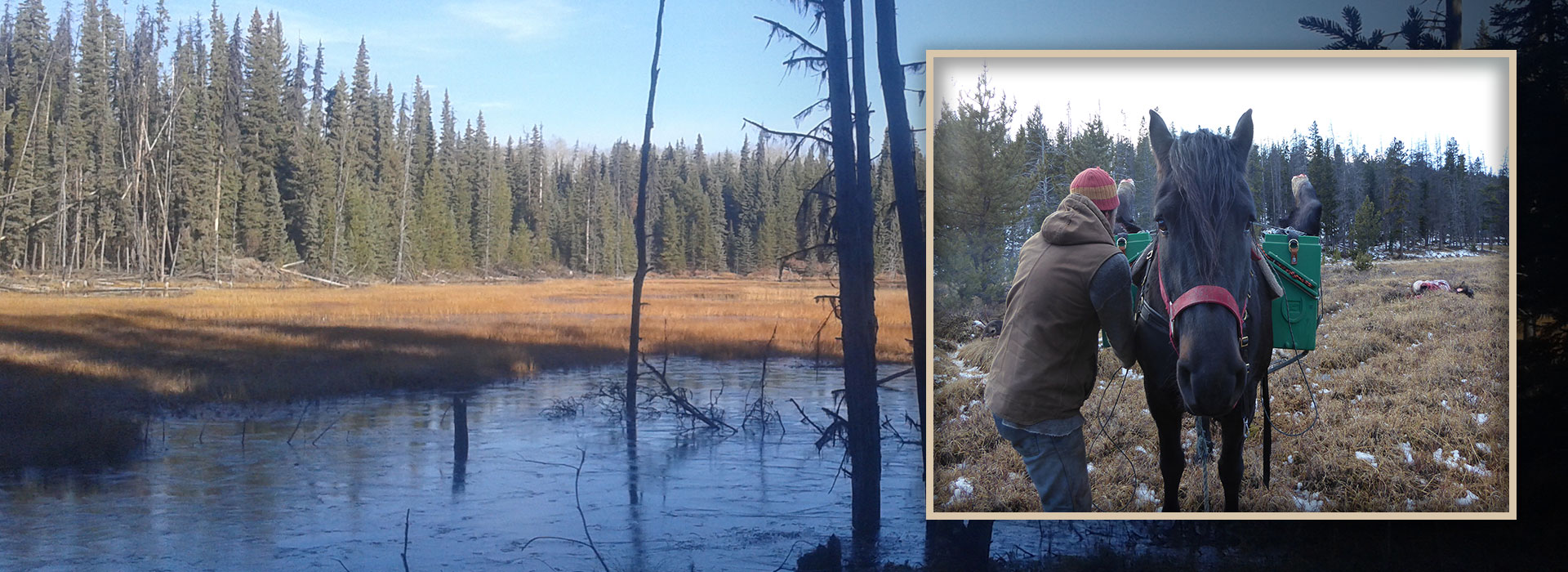 Photo of DB Outfitting in Bulkley Valley, BC
