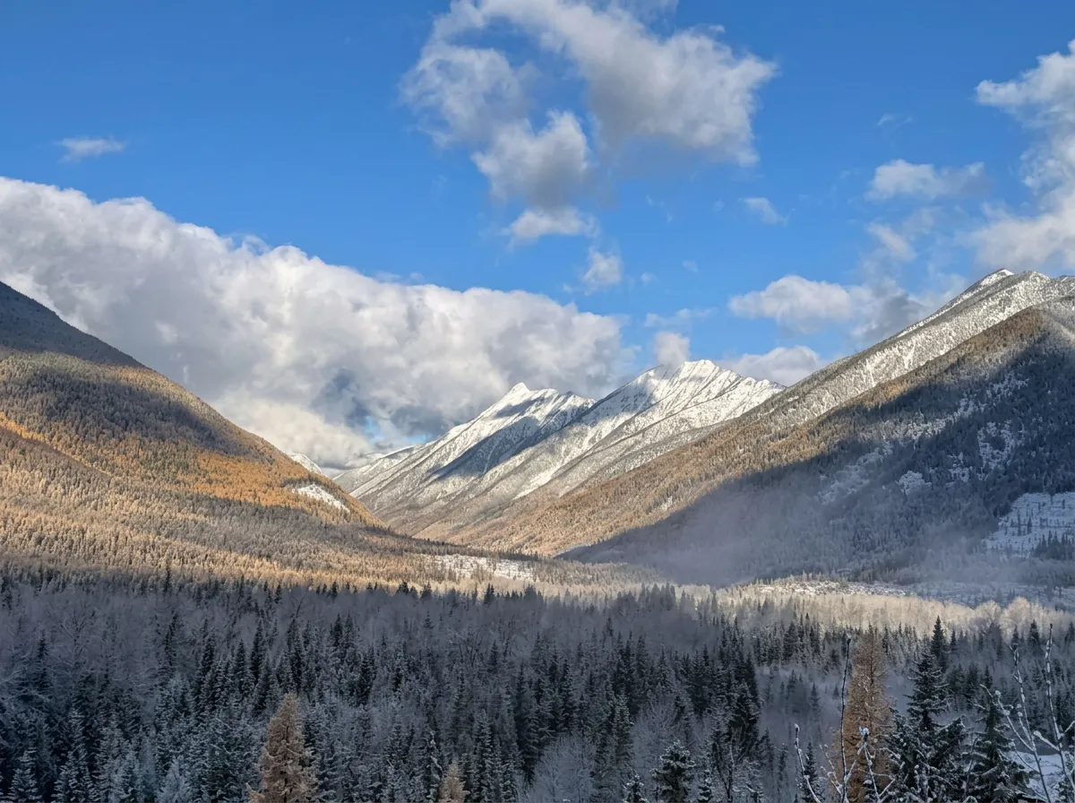 Photo de Sawtooth Outfitters à Kootenay Est, Bc