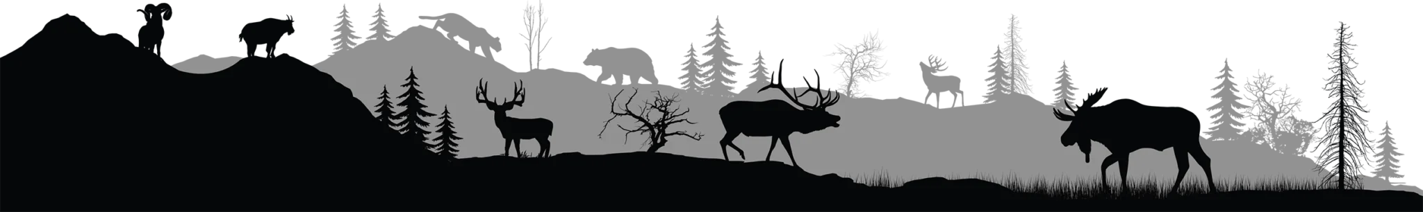 The Lodge — Rocky Mountain High Outfitters – Rocky Mountain High Outfitters