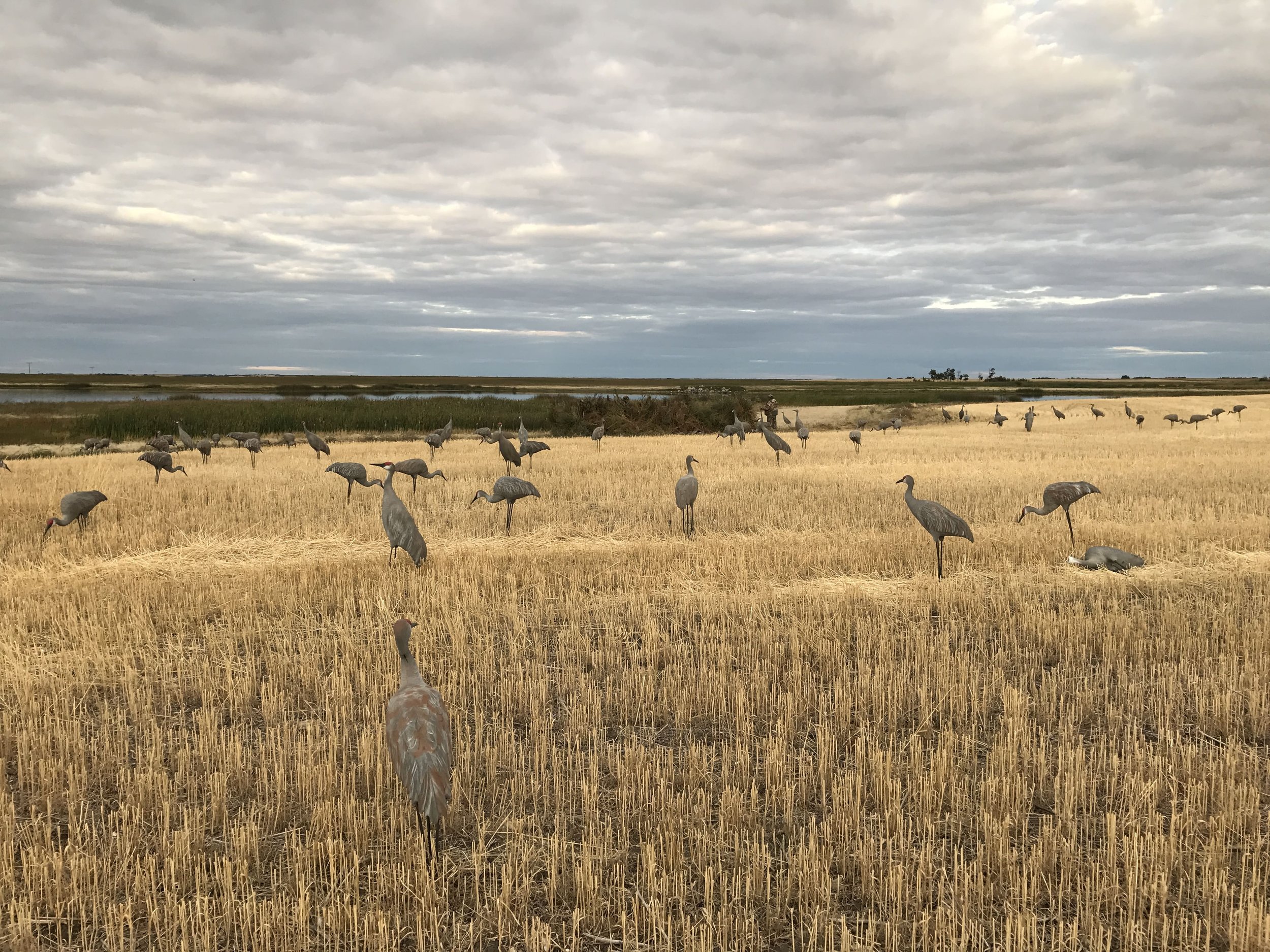 Photo de Aurora Skies Outfitting dans les Prairies, Sk