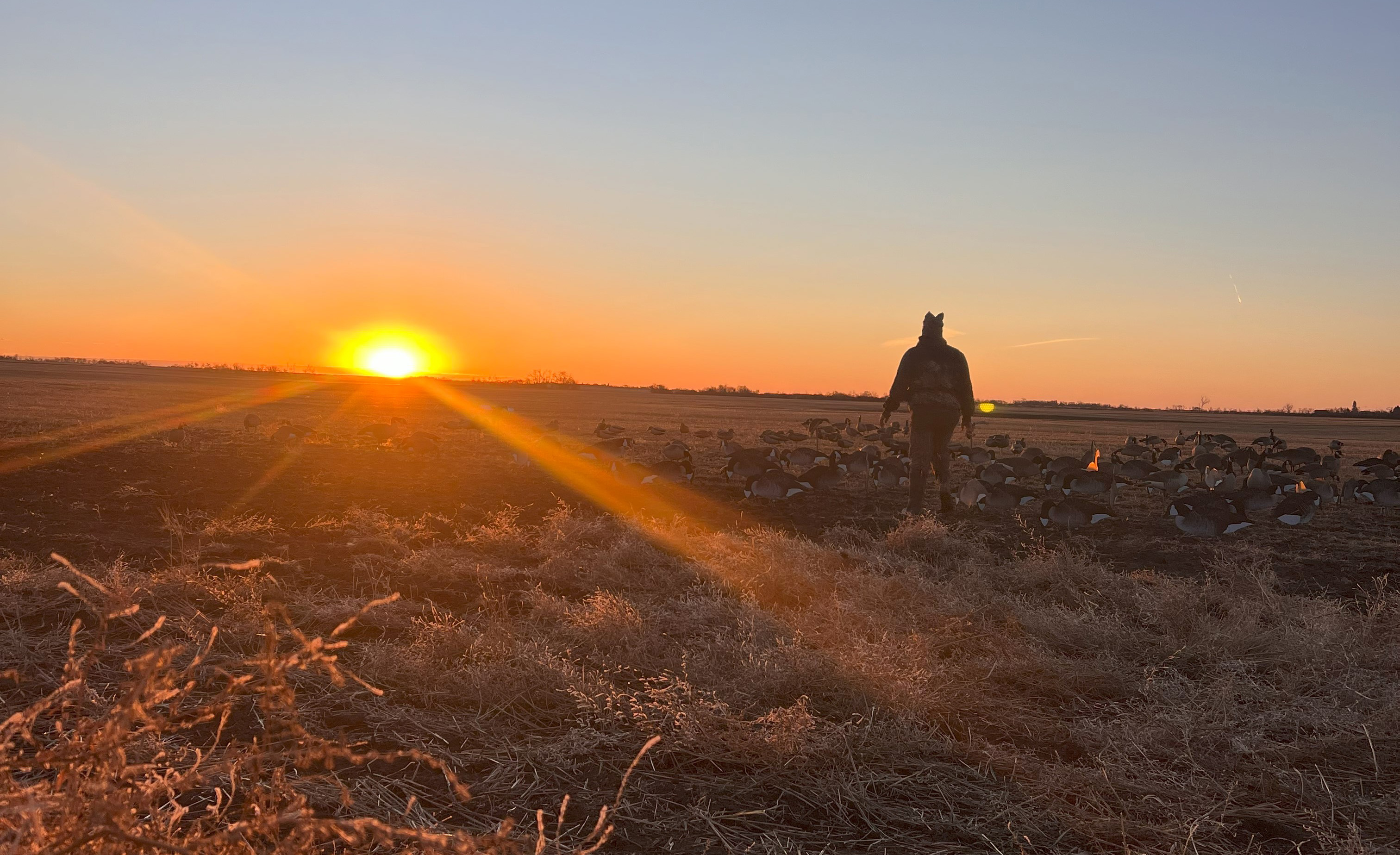 Photo of Aurora Wings Outfitters in Souris Valley, SK