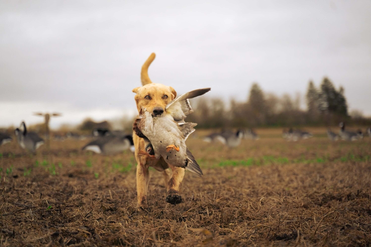 Photo of Bay Prairie Outfitters in Souris Valley, SK