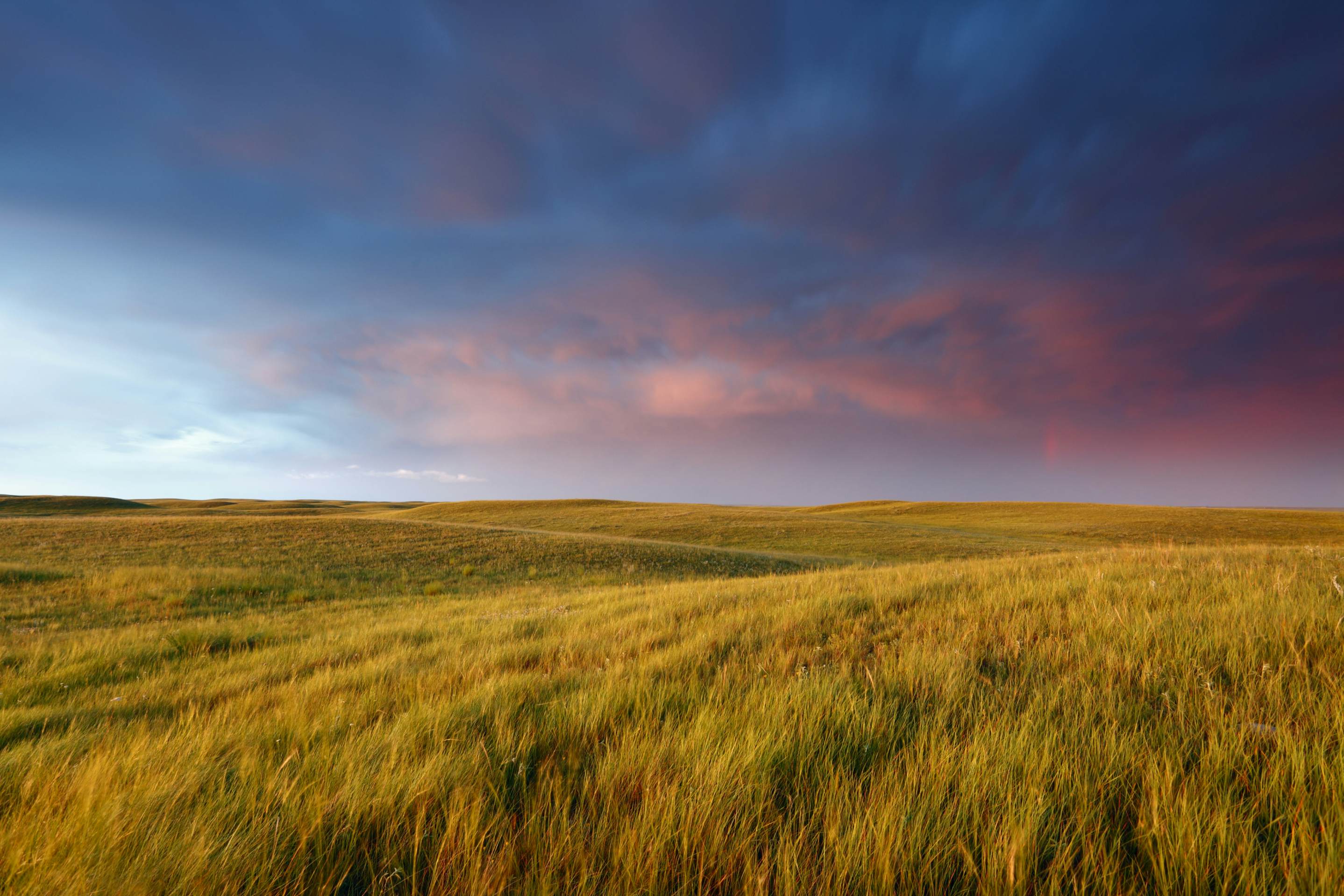 Photo de Bear Paw Outfitters – Deep in the Bush Adventures Canada dans les Parkland, Sk