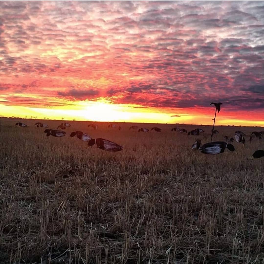 Photo de Benelli Boyz Outfitters dans les Prairies, Sk