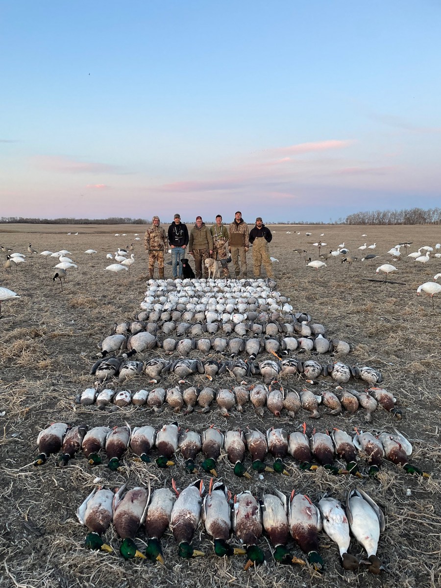 Photo of Black Sheep Waterfowl in Souris Valley, SK