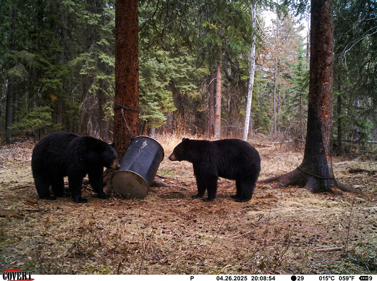 Photo of Cooks Outfitting in Meadow Lake Region, SK
