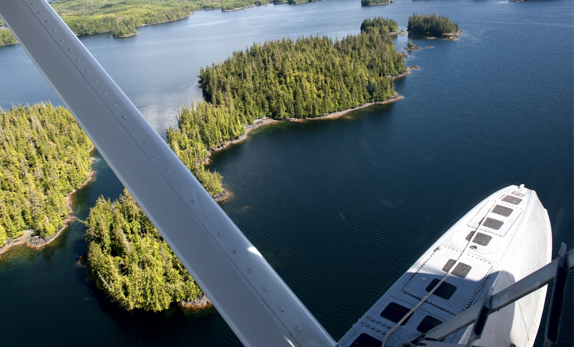 Photo de Cree Lake Lodge Ltd. dans la Forêt boréale, Sk