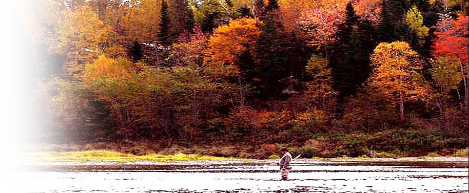 Photo of Country Haven Miramichi in Miramichi, NB