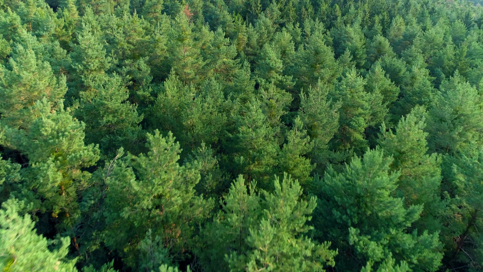 Photo of Deepwoods Outfitters in New Brunswick