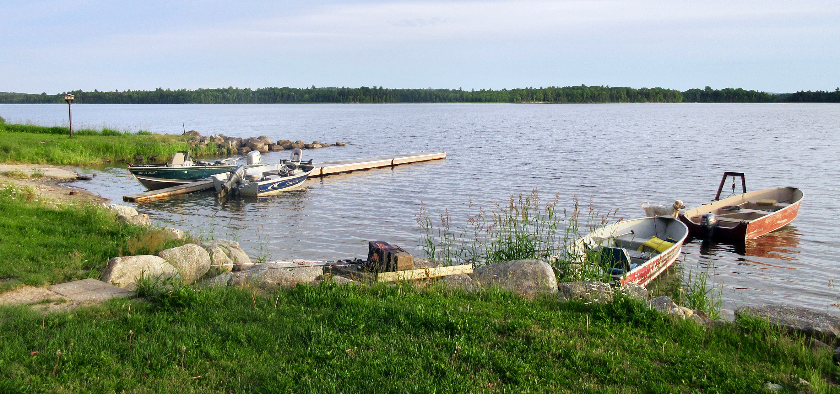 Photo of Palfrey Lake Lodge in Bay of Fundy, NB