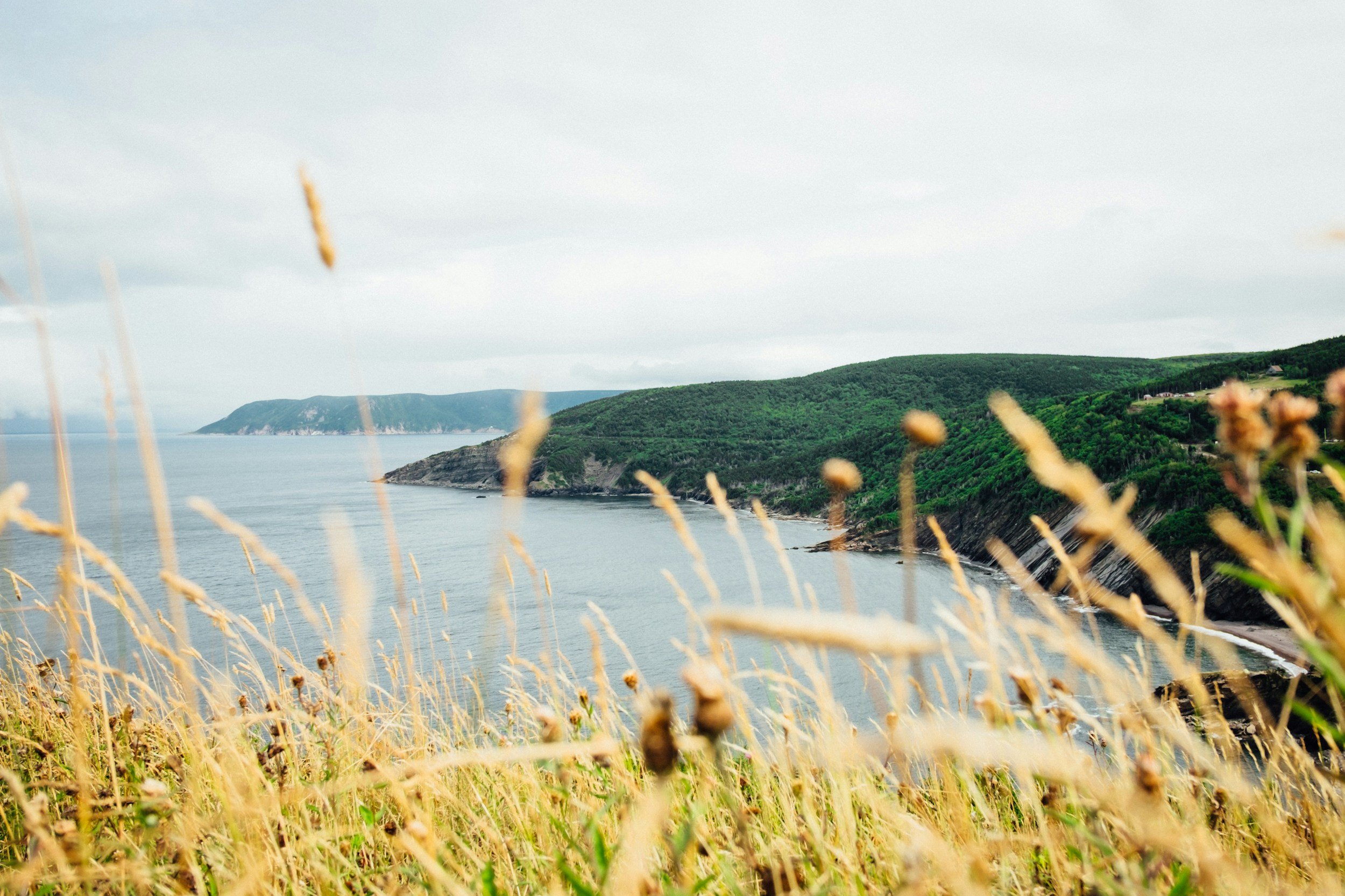 Photo of Early Riser Guiding in Cape Breton, NS