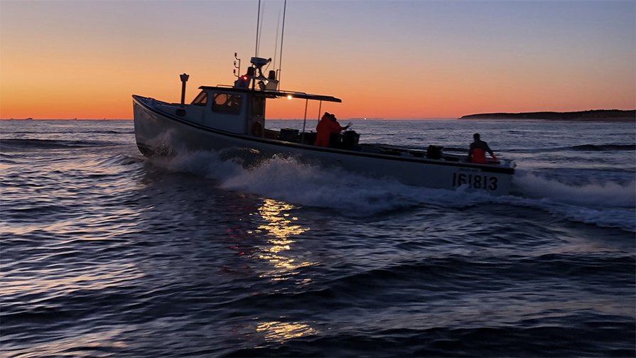 Photo de MacNeill's Tuna and Deep-Sea Fishing Charters sur la Route côtière Points East, Pe