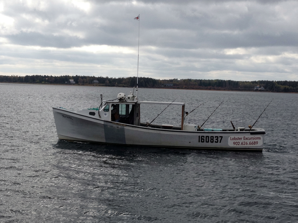 Photo de Top Notch Tuna Charters sur la Route côtière Points East, Pe