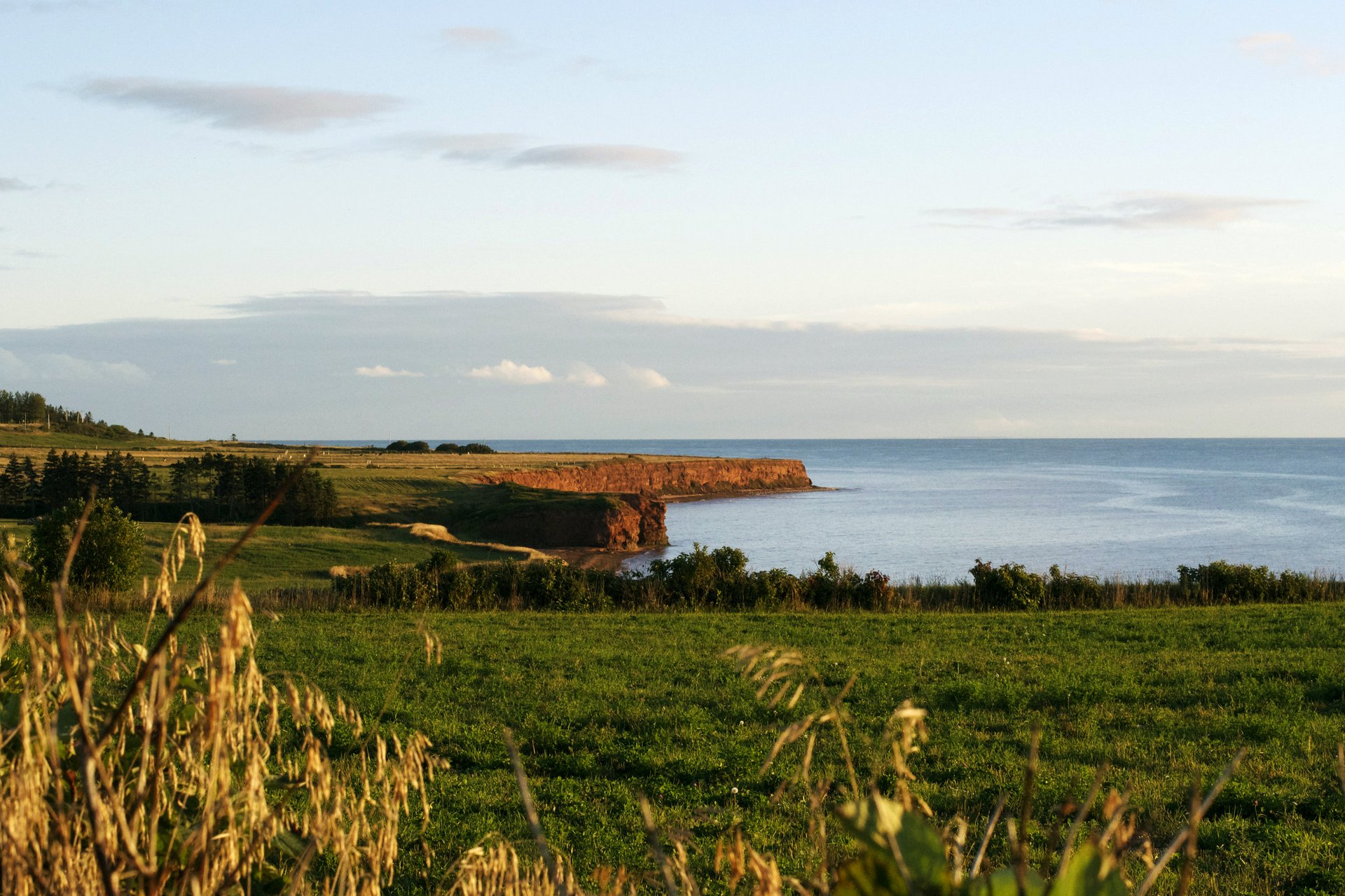 Photo of Hunter's Chance in Central Coast, PE