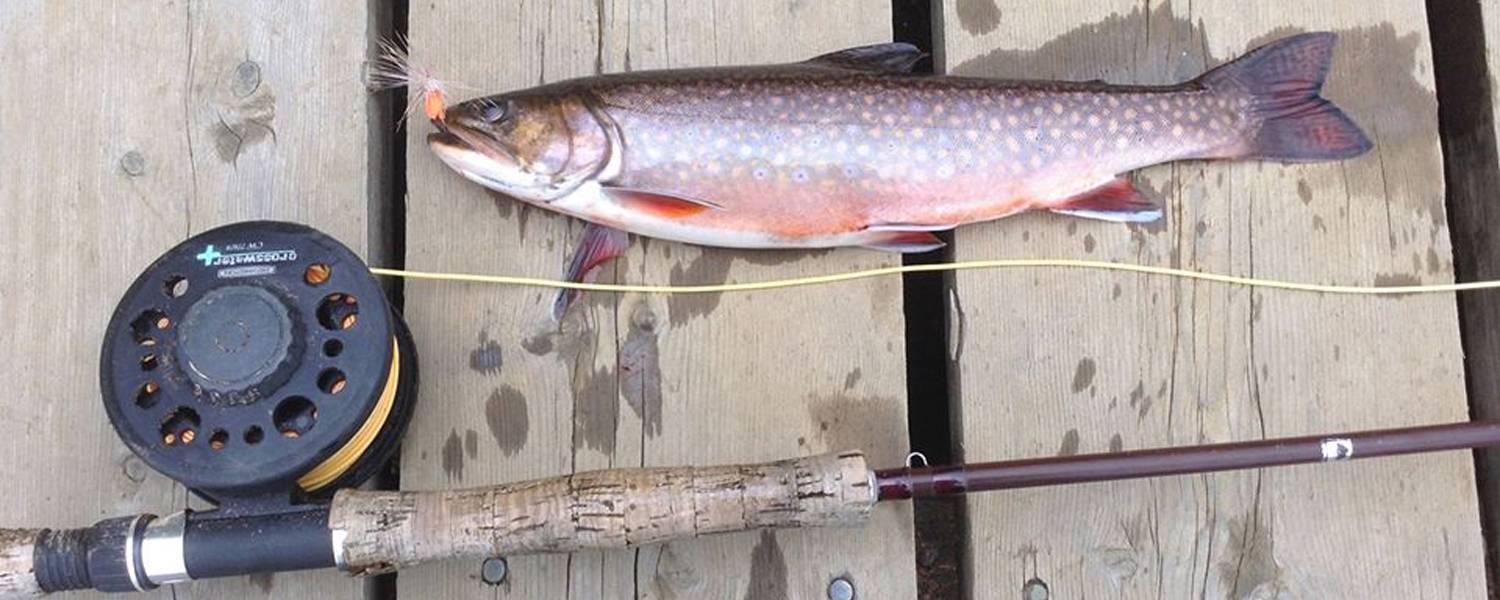 Auberge Cloud 9 Salmon Lodge — Cloud 9 Salmon Lodge Inc. – Cloud 9 Salmon Lodge Inc.