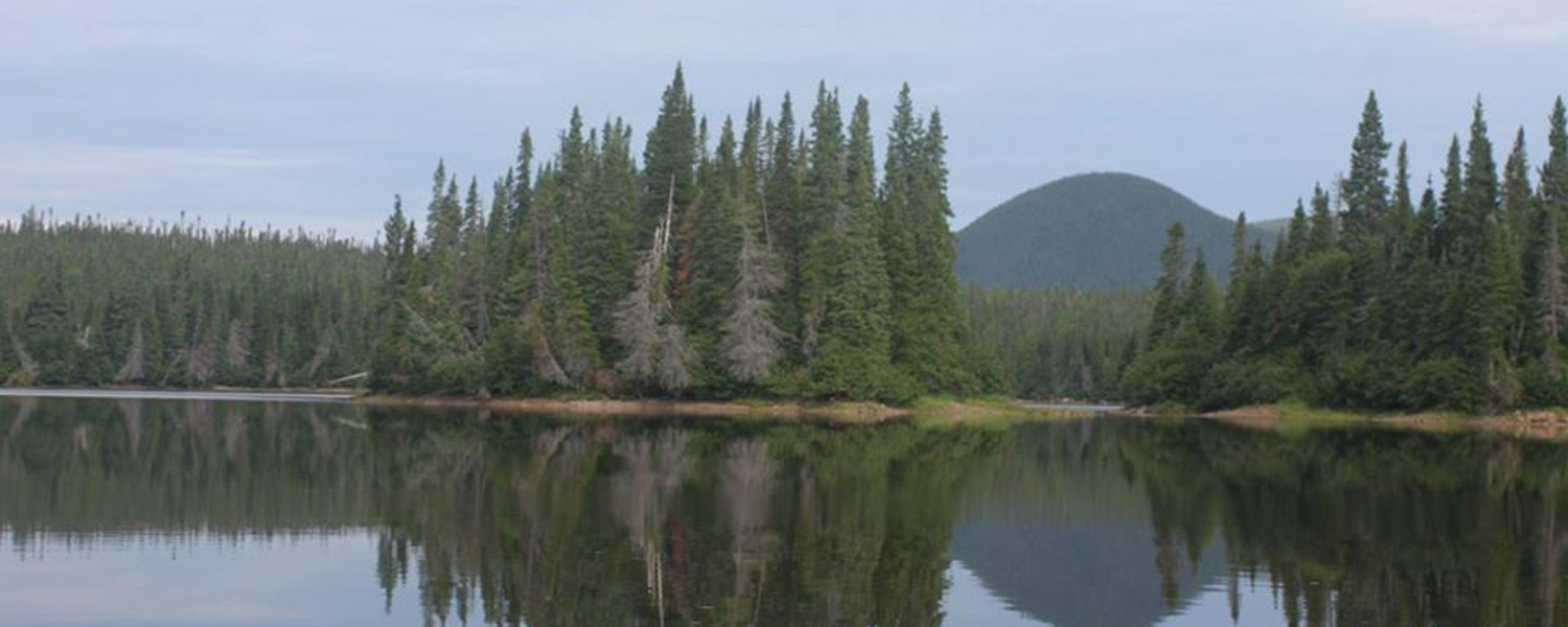 Photo de Cloud 9 Salmon Lodge Inc. sur la Route côtière du Labrador, Nl