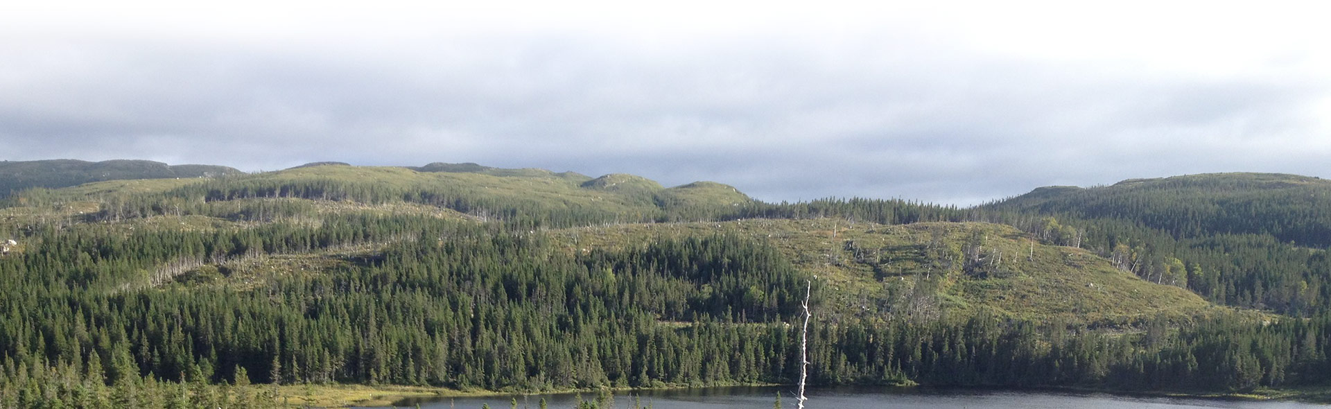 Photo de Taylor's Brook Outfitting sur la Côte Ouest, Nl