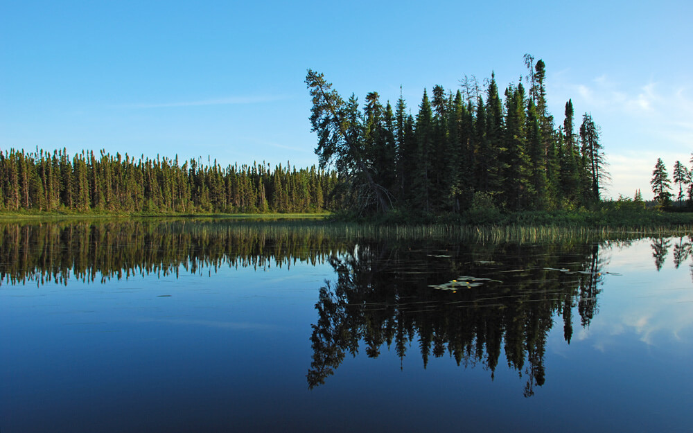 Photo de Américree à Eeyou Istchee Baie-James, Qc