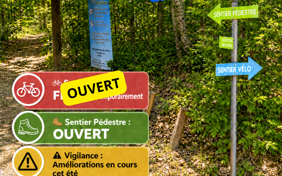 Camping - Secteurs A, B, C – Pourvoirie et Camping Pimodan